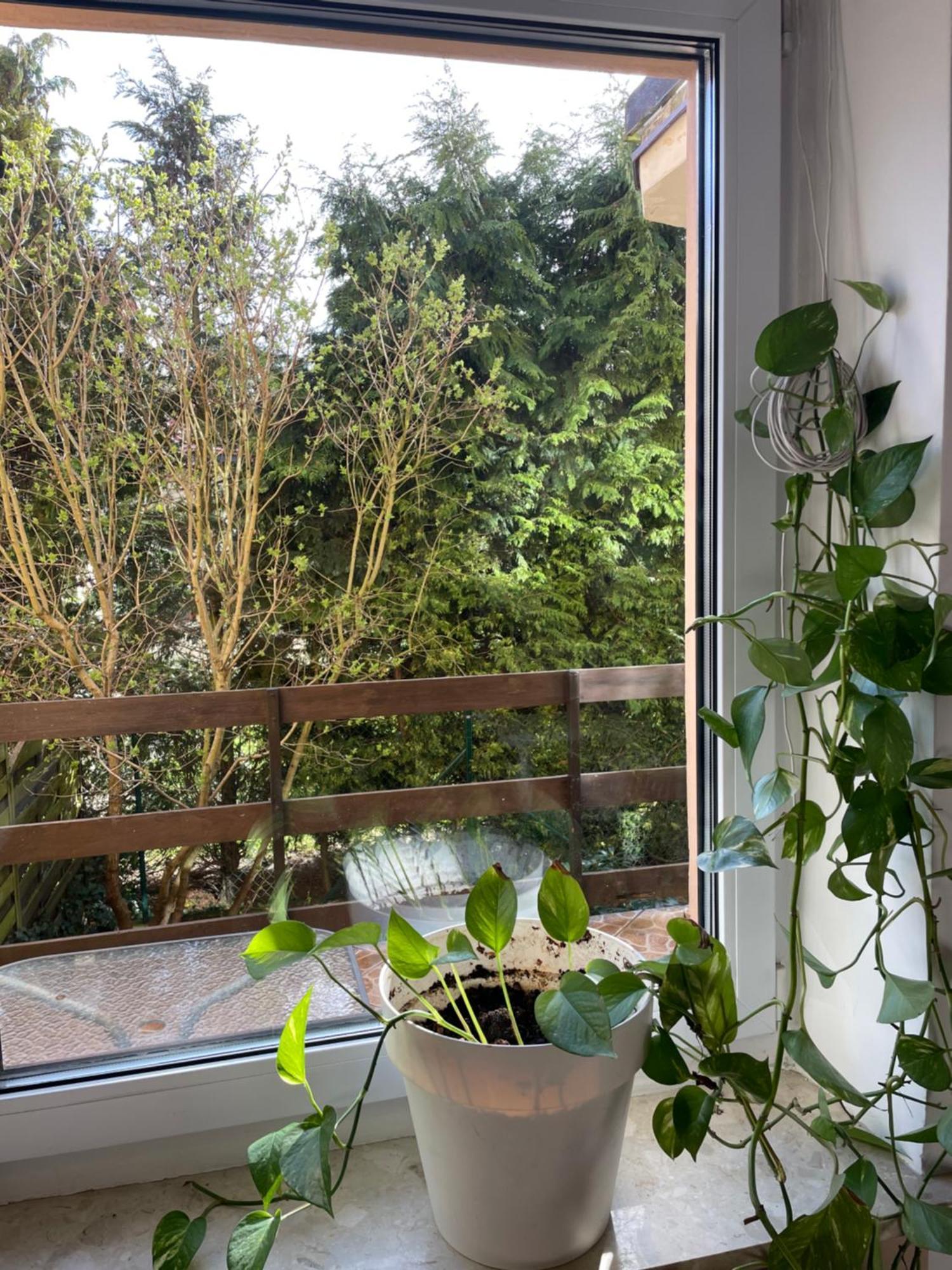 Apartament Airport Gdańsk